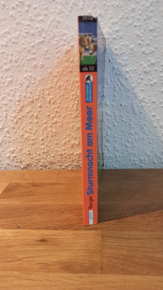 Sturmnacht am Meer, ab 10 Jahre