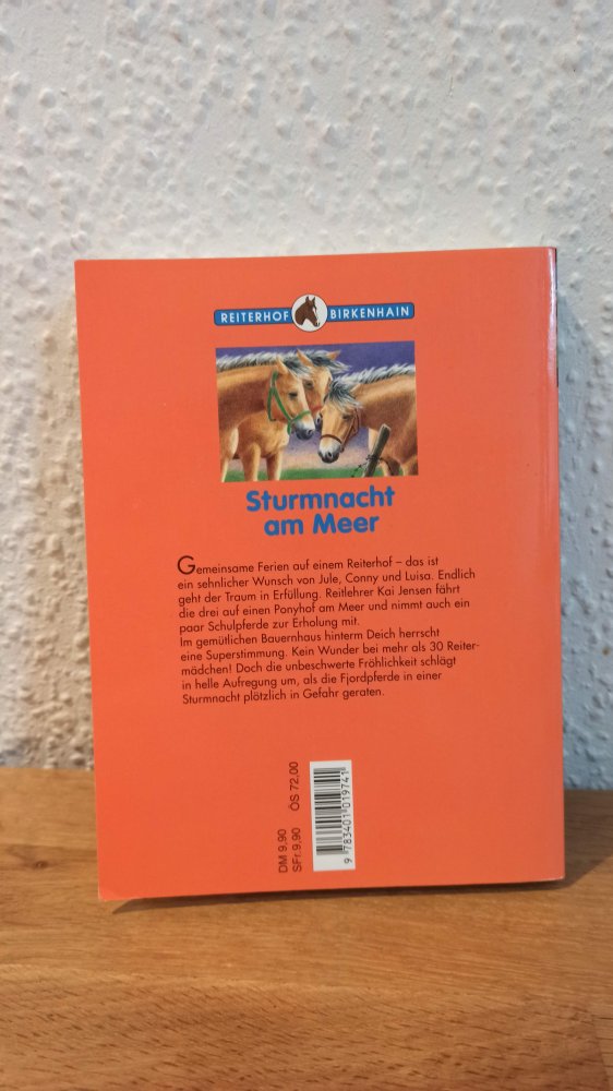 Sturmnacht am Meer, ab 10 Jahre