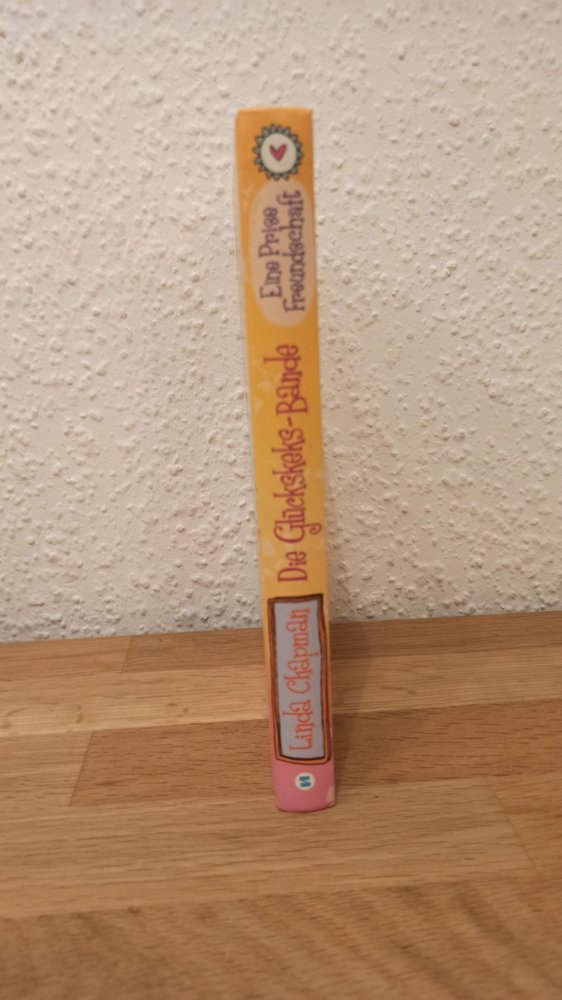 Die Glückskeks-Bande, Eine Prise Freundschaft