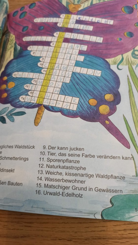 Schülerrätsel für Blitzmerker, ab 8 Jahre