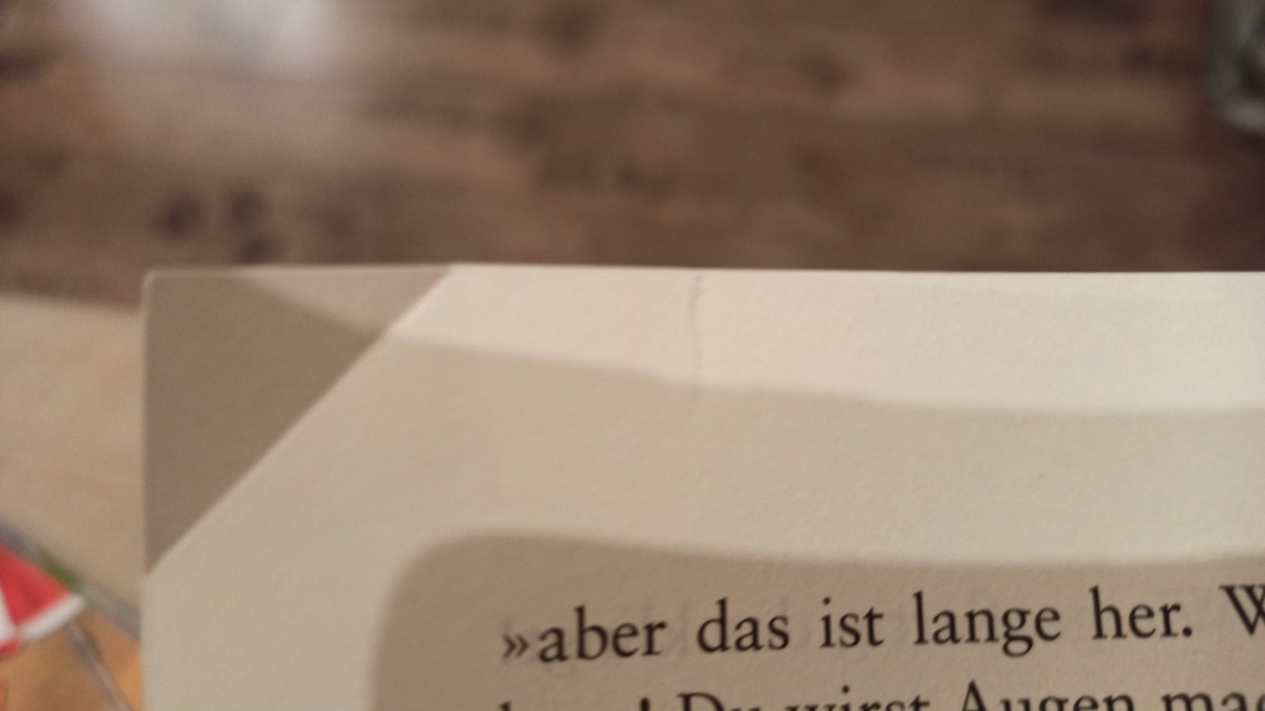 Der verrückte Ferienritt, ab 9 Jahre