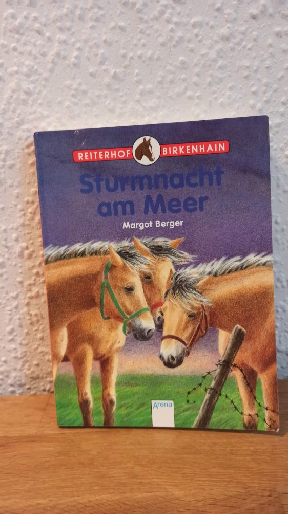 Sturmnacht am Meer, ab 10 Jahre