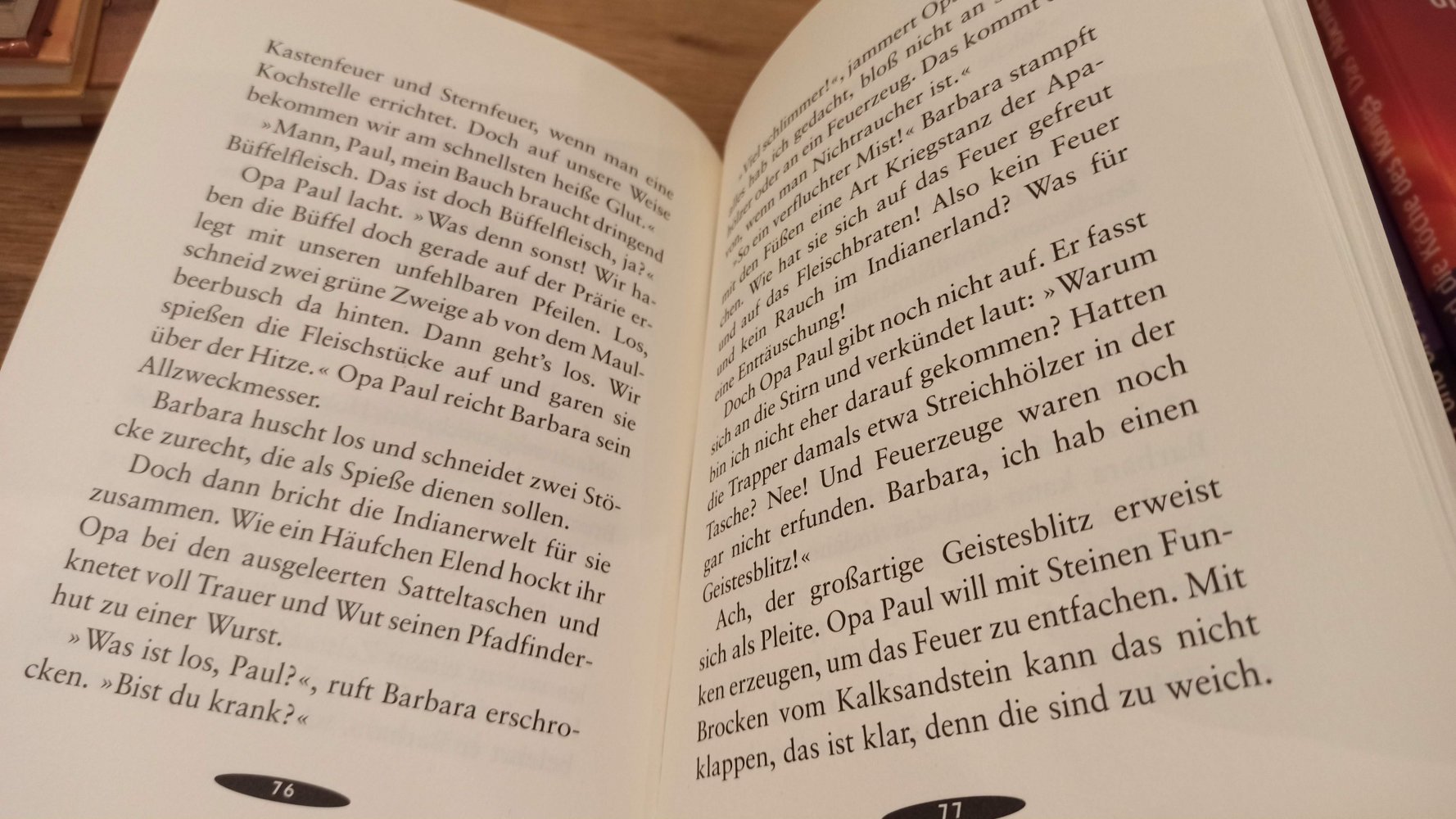 Der verrückte Ferienritt, ab 9 Jahre