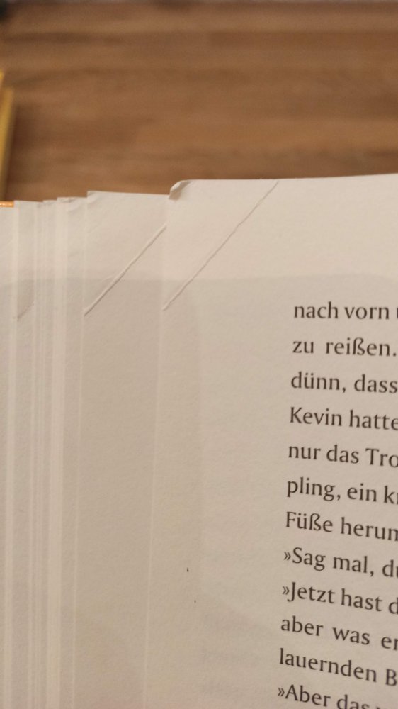 Große Klasse, kleiner Hund, ab 10 Jahre
