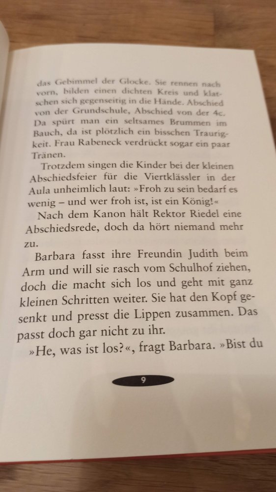 Der verrückte Ferienritt, ab 9 Jahre