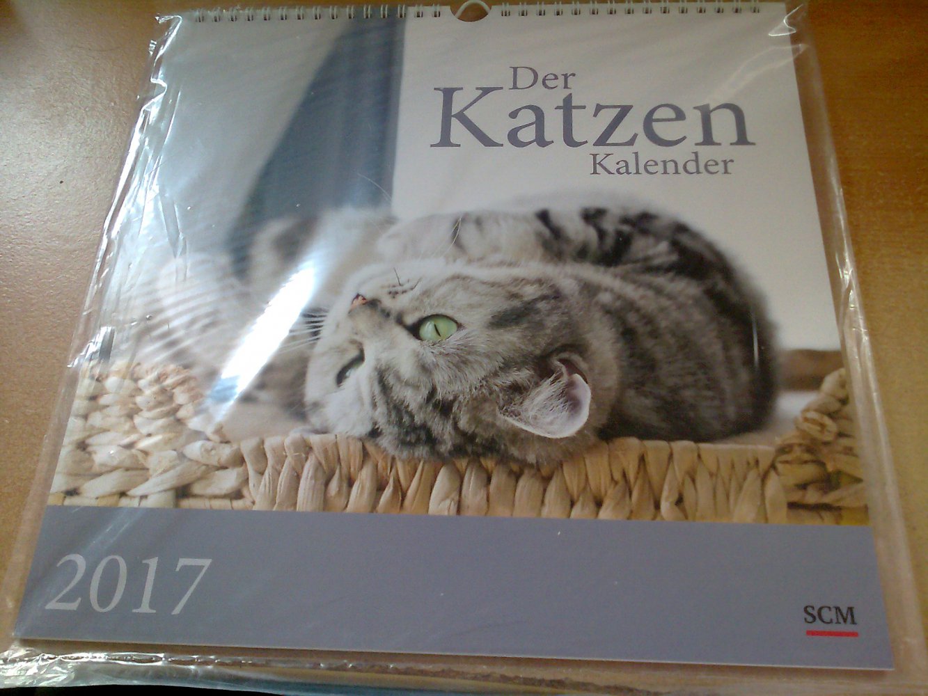 Der Katzen Kalender für an die Wand