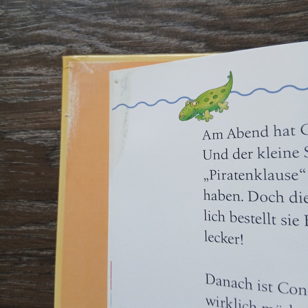 Das neue große Connibuch