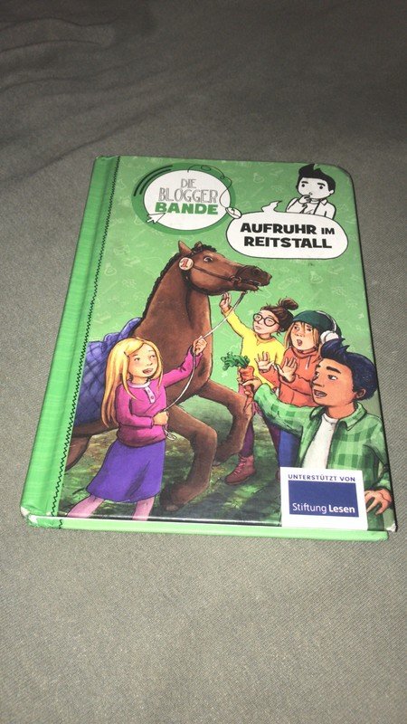 Buch  Aufruhr im Reitstall