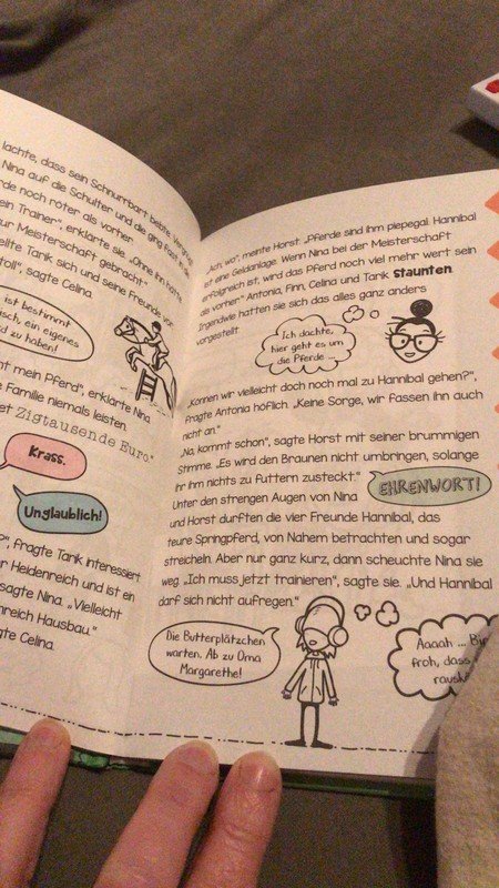 Buch  Aufruhr im Reitstall