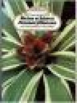 Meine schönen Zimmerpflanzen mit Liebe gepflanzt und gepflegt mit 123 Blumenbildern in Farbe