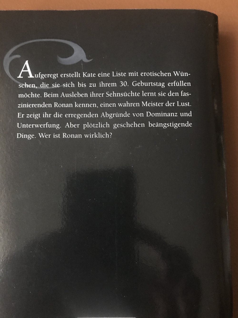 Buch Meister der Lust 