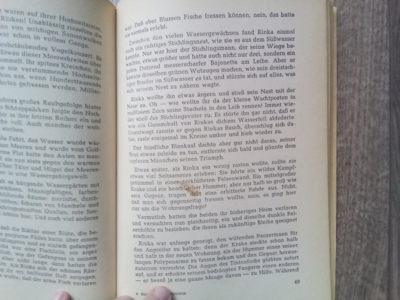 Rinka die Flußpiratin Haselbusch Bernd wird Flugkapitän Hempe GJB