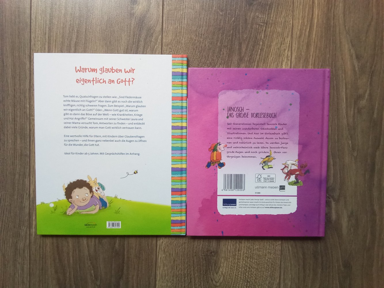 Janosch Vorlesebuch Hallo Gott, kann ich dich mal was fragen? Buch