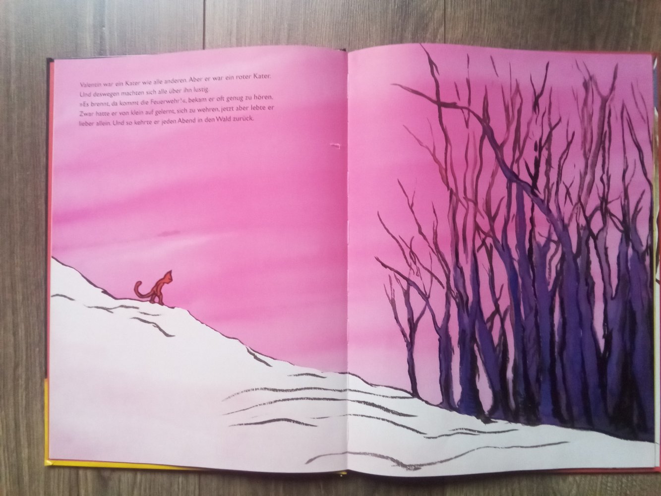 Der rote Kater Gregoire Solotareff Bilderbuch Moritz Verlag