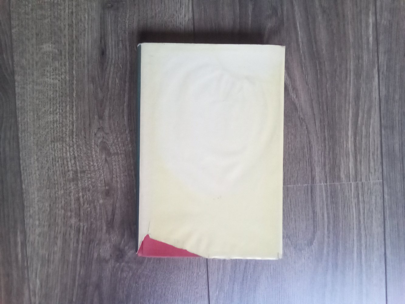 Fernsehhund Lassie Buch Band 1 Dorothea J. Snow das Geheimnis vom Brombeersumpf Engelbert