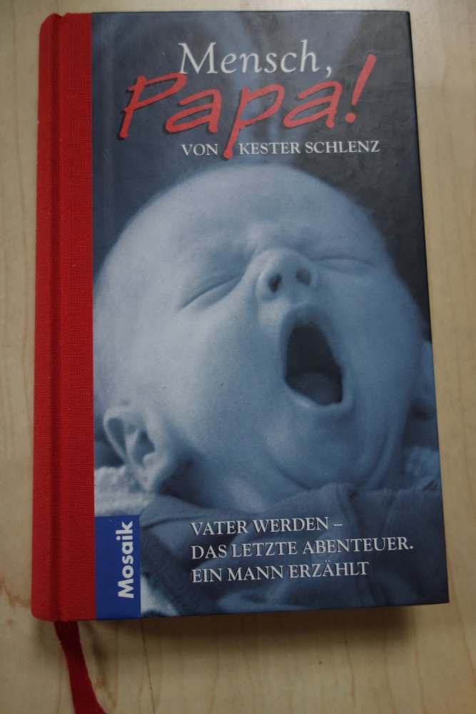 Mensch, Papa! Kester Schlenz Vater werden das letzte Abenteuer