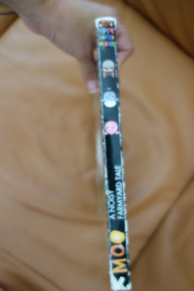 Pappbilderbuch Englisch Moo a noisy farmyard tale Jonathan Litton