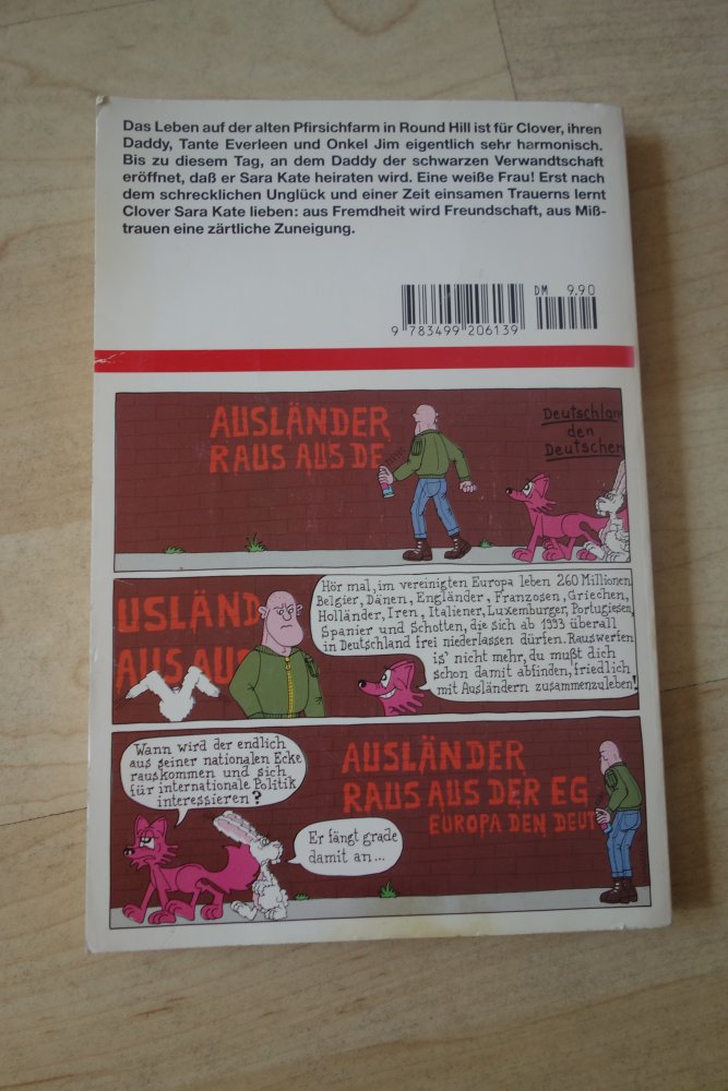 Ich bin Fedde Daddys Tochter Buch rororo oetinger An Rutgers Doris Sanders