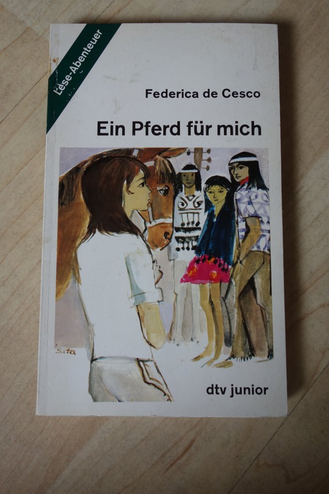 Ein Pferd für mich Federica de Cesco Buch dtv junior