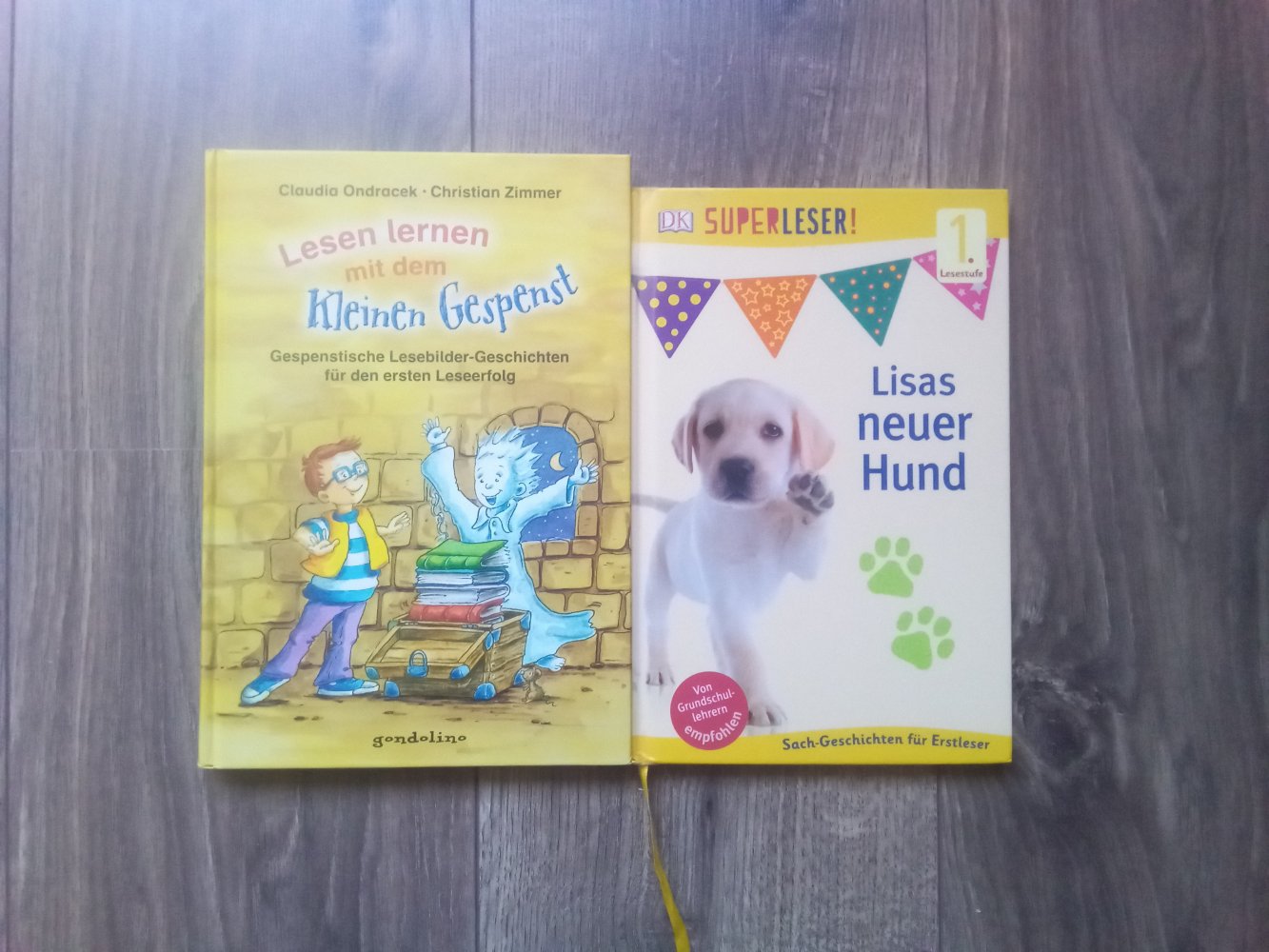 Lisas neuer Hund Superleser 1. Lesestufe Sachbuch Lesen lernen mit dem kleinen Gespenst Bildermaus