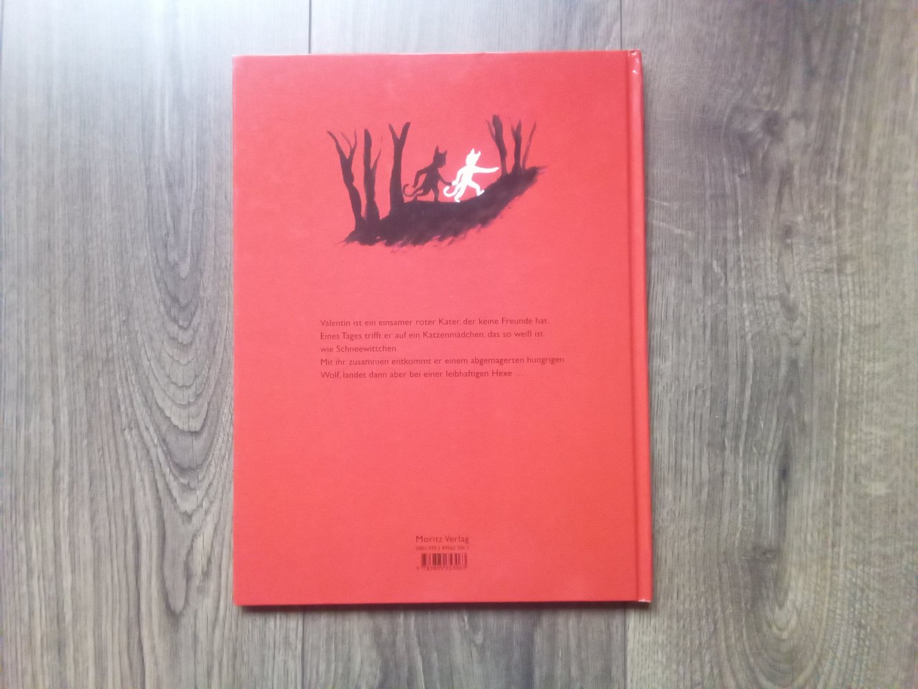 Der rote Kater Gregoire Solotareff Bilderbuch Moritz Verlag