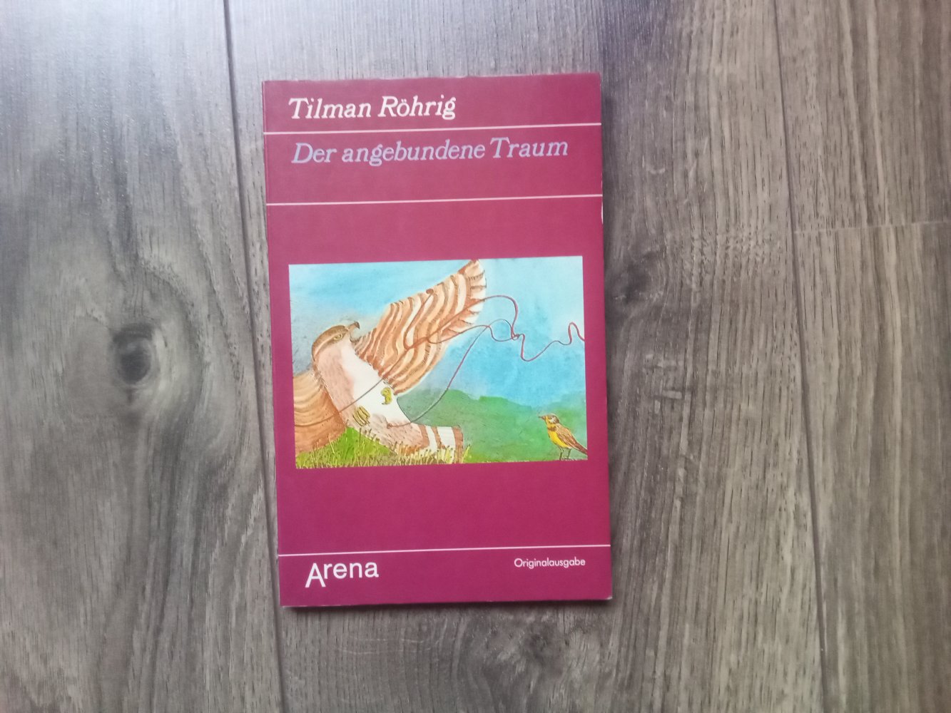 der angebundene Traum Tilman Röhrig Buch