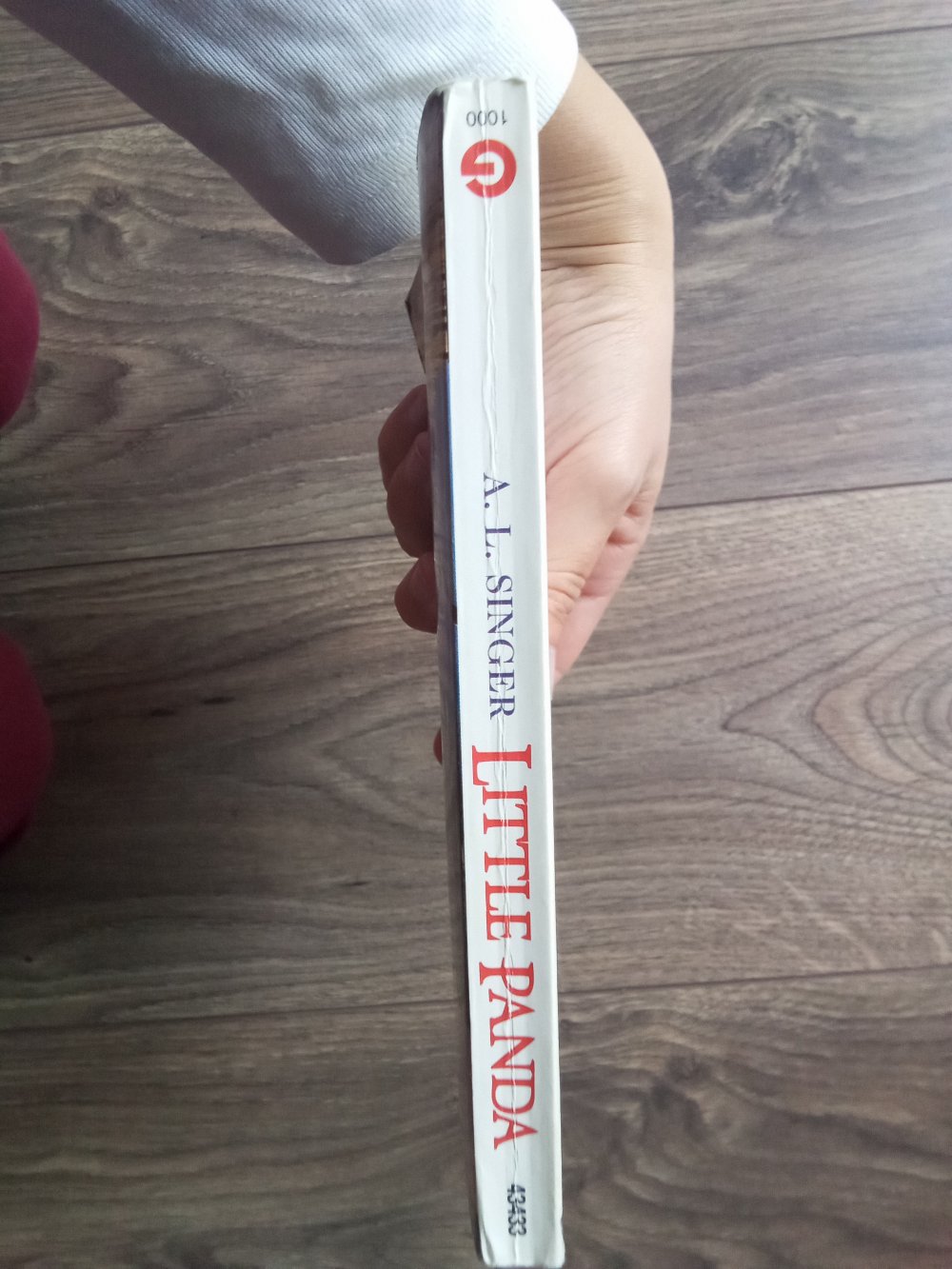 Little Panda A.L. Singer Roman zum Film Buch Goldmann