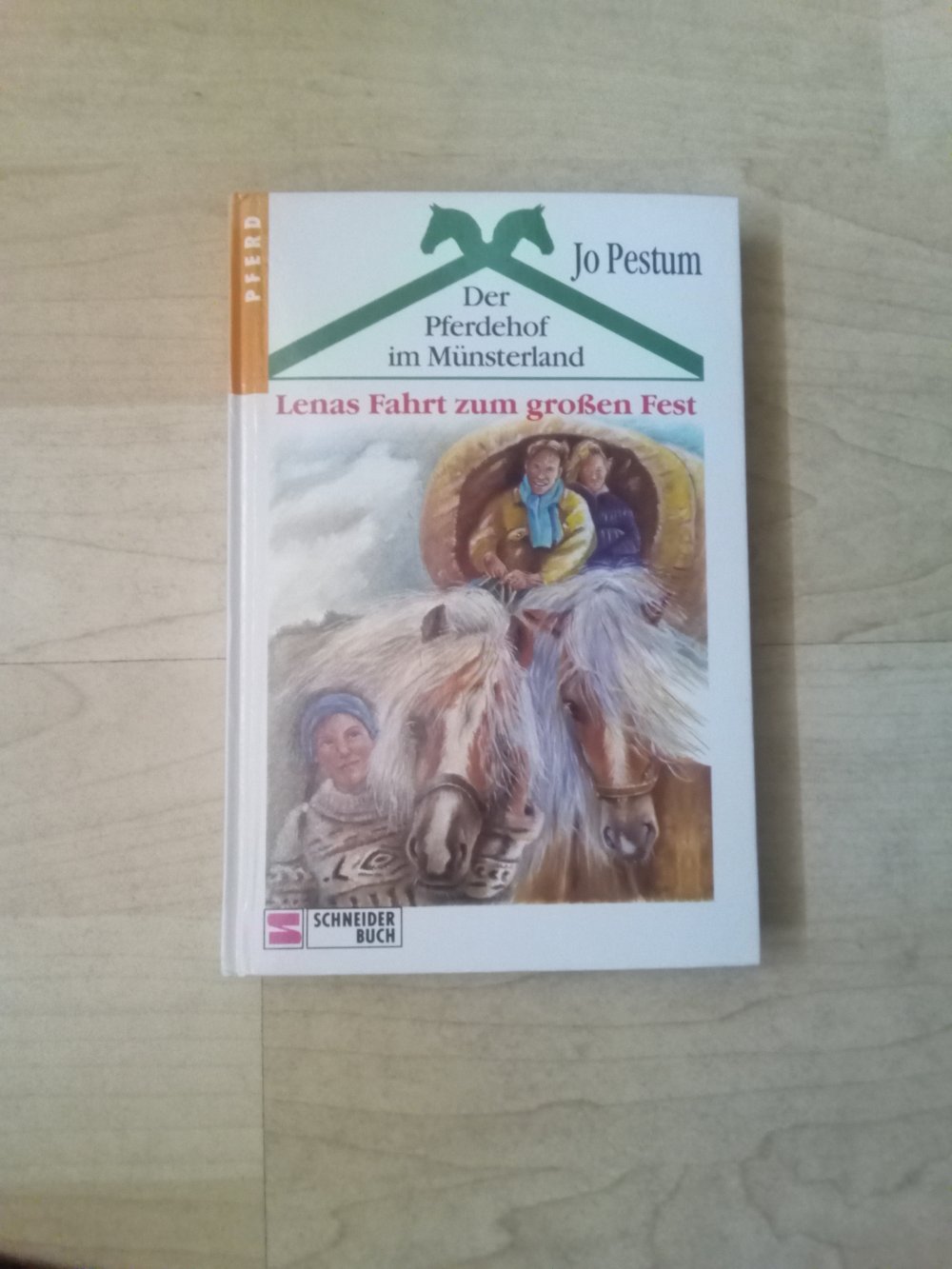 Lenas Fahrt zum großen Fest Pferdehof im Münsterland Pferde Bd 3