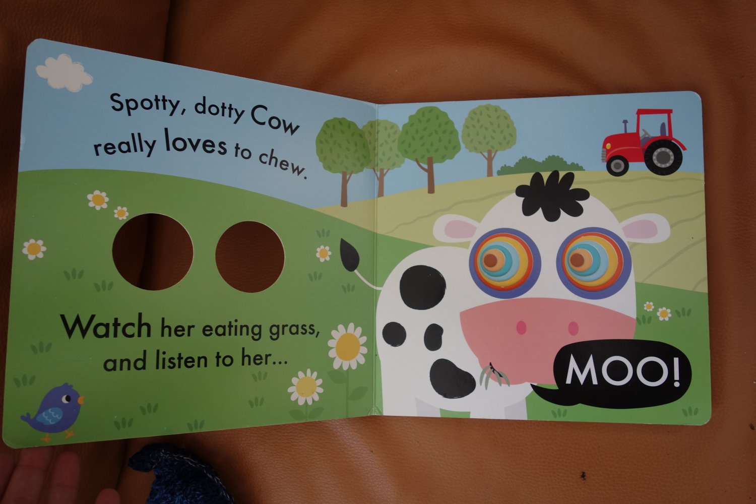 Pappbilderbuch Englisch Moo a noisy farmyard tale Jonathan Litton