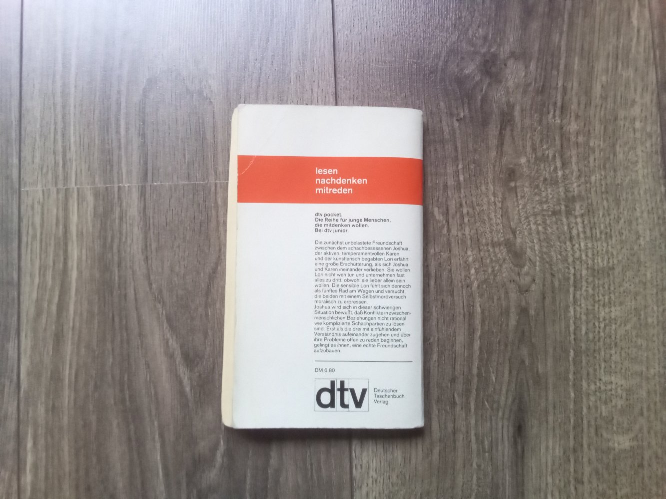 Taschenbuch Drei Freunde Myron Levoy dtv Pocket Junior 