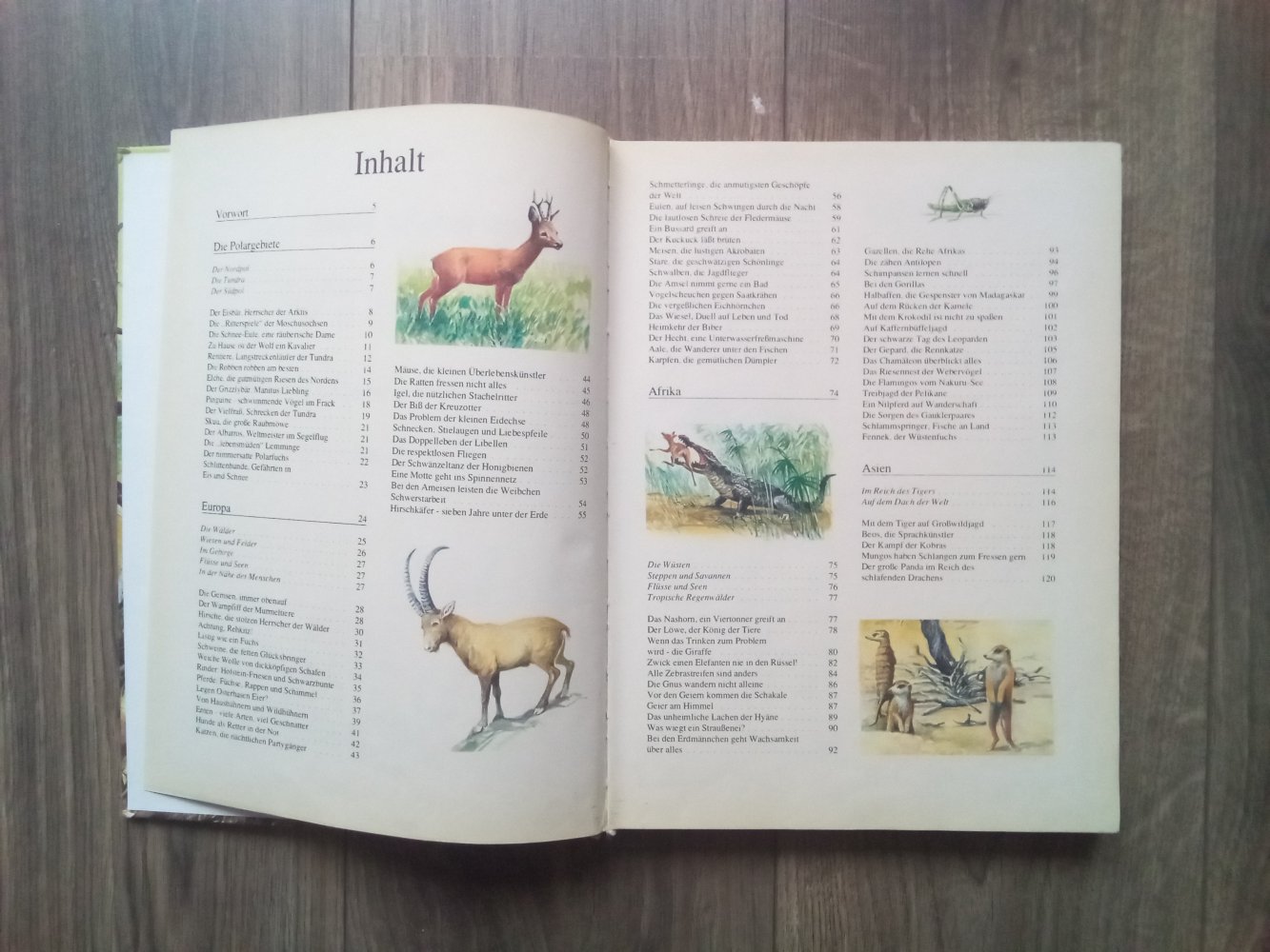 Das große Buch der Tiere Sachbuch Margot Hellmiss Hermut K. Geipel