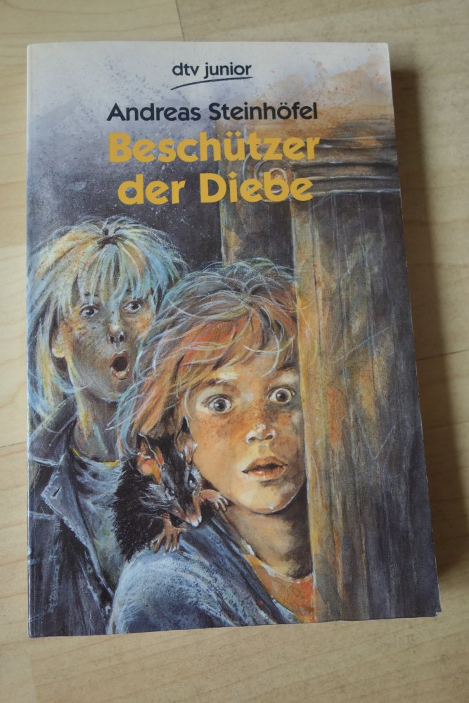 Beschützer der Diebe Andreas Steinhöfel dtv junior