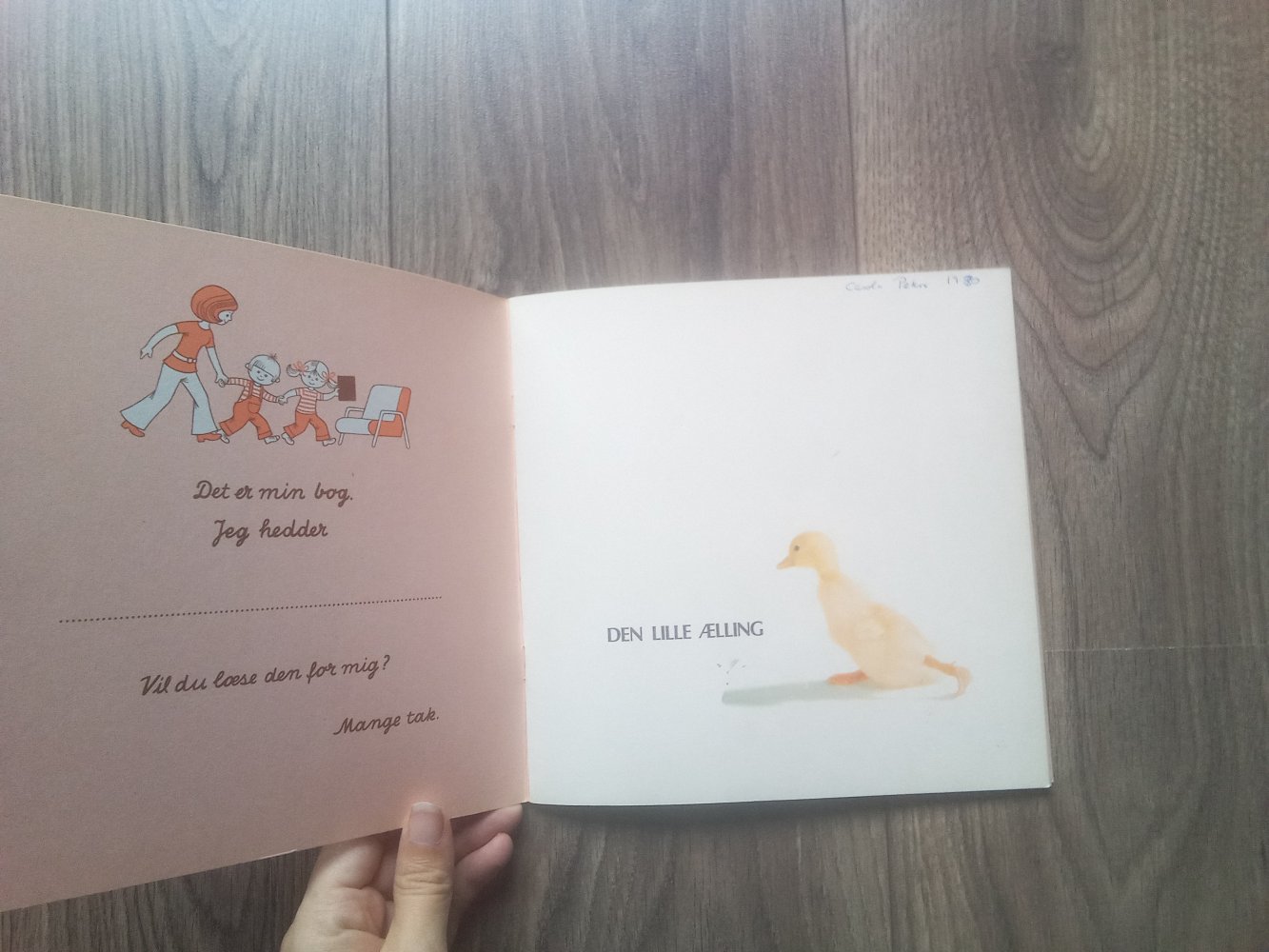 Den Lille Aelling Bilderbuch dänisch das kleine Entlein Judy Dunn