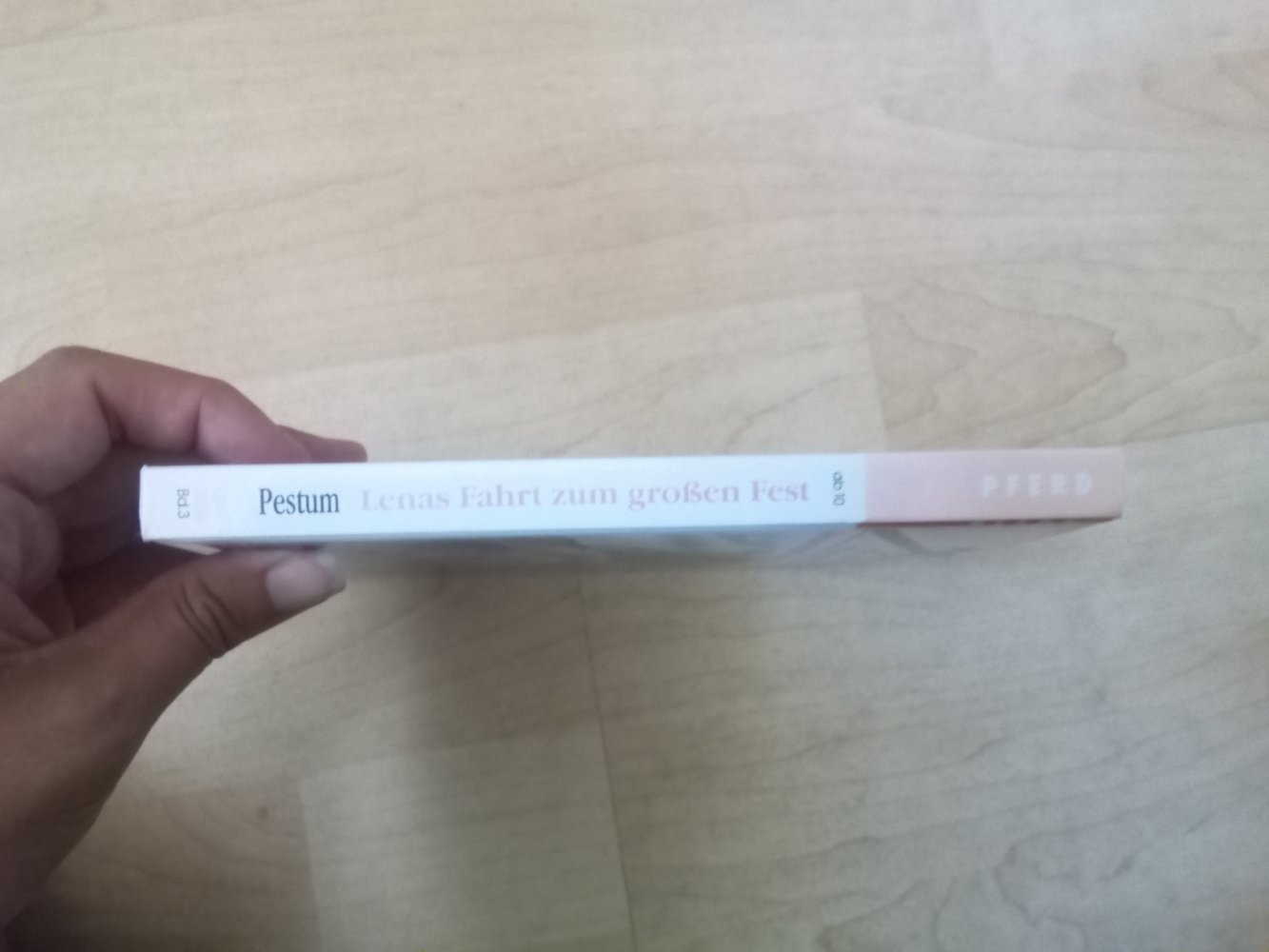 Lenas Fahrt zum großen Fest Pferdehof im Münsterland Pferde Bd 3