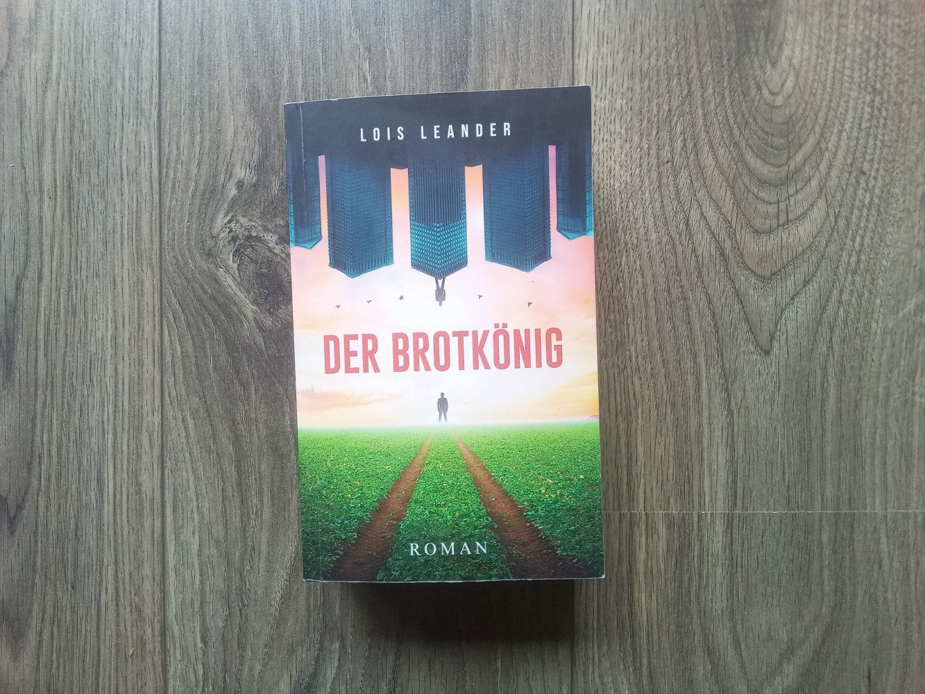 Der Brotkönig Roman um Macht und Weisheit Lois Leander 