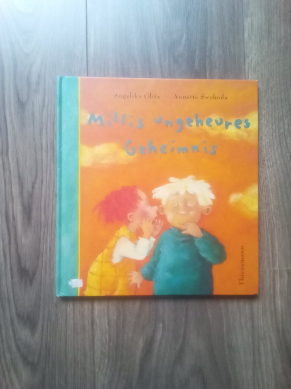 Millis ungeheures Geheimnis Angelika Glitz Bilderbuch Thienemann