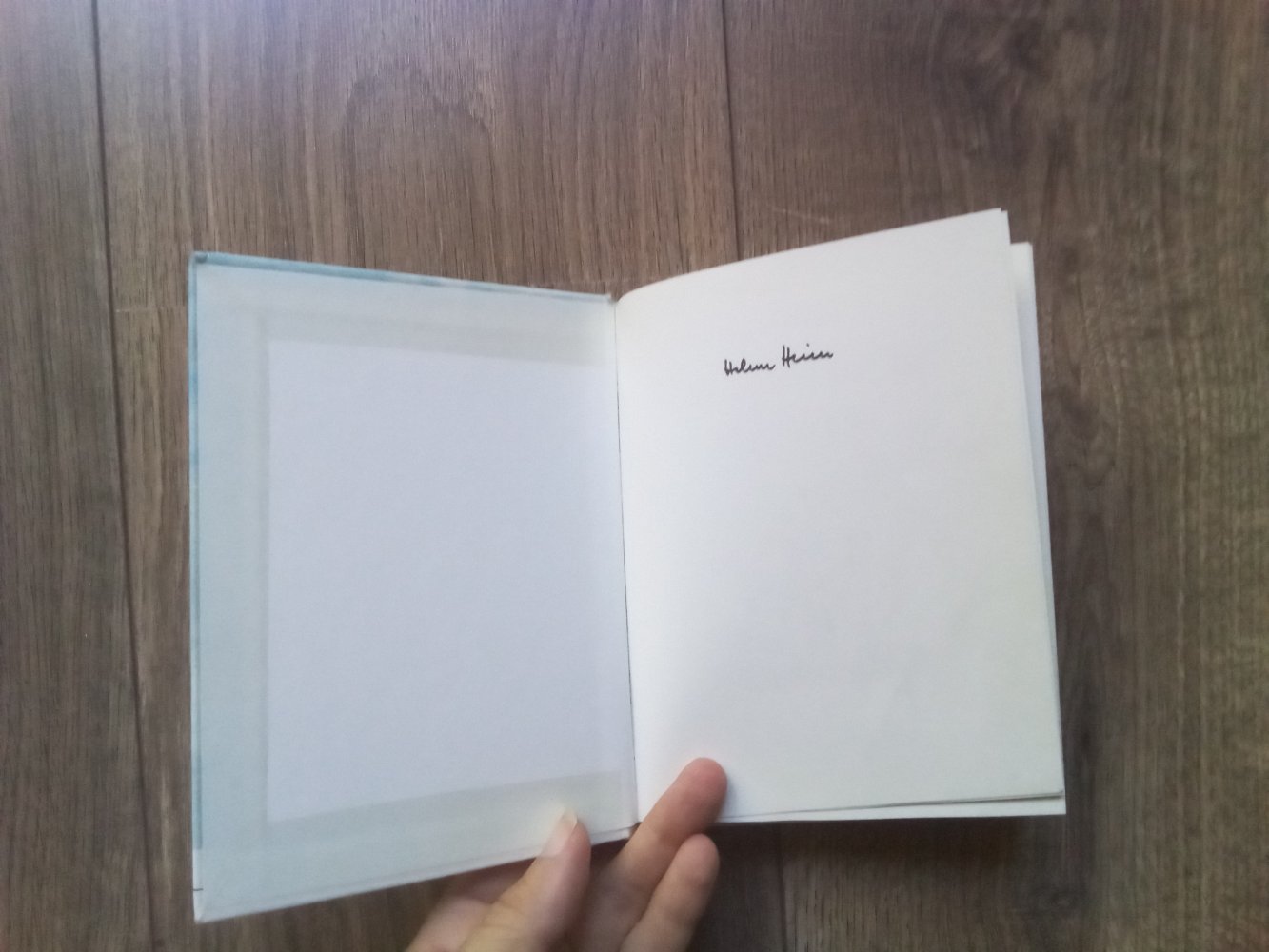 Buch Das schönste Ei der Welt Helme Heine Findling 