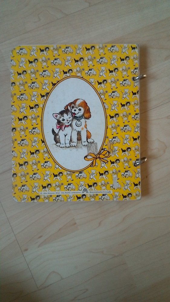 die Schildbürger Otto Moravec Bilder Buch Ringbindung