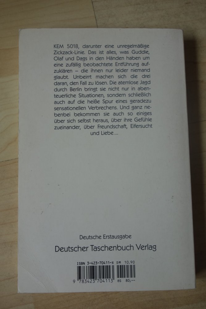 Beschützer der Diebe Andreas Steinhöfel dtv junior