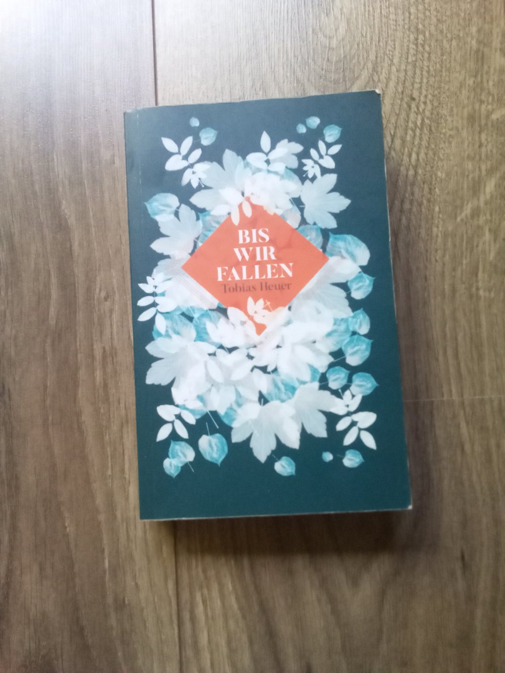 Bis wir fallen Fantasievolle Liebesgeschichte modernes Märchen für Erwachsene Tobias Heuer 