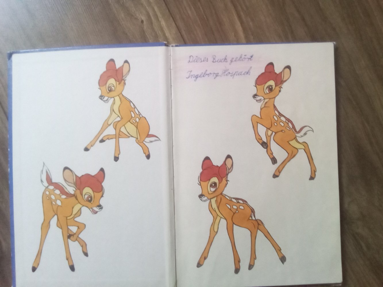 verschiedene Bücher Bambi verrückte Geschichten Jahresreigen Kinderklub