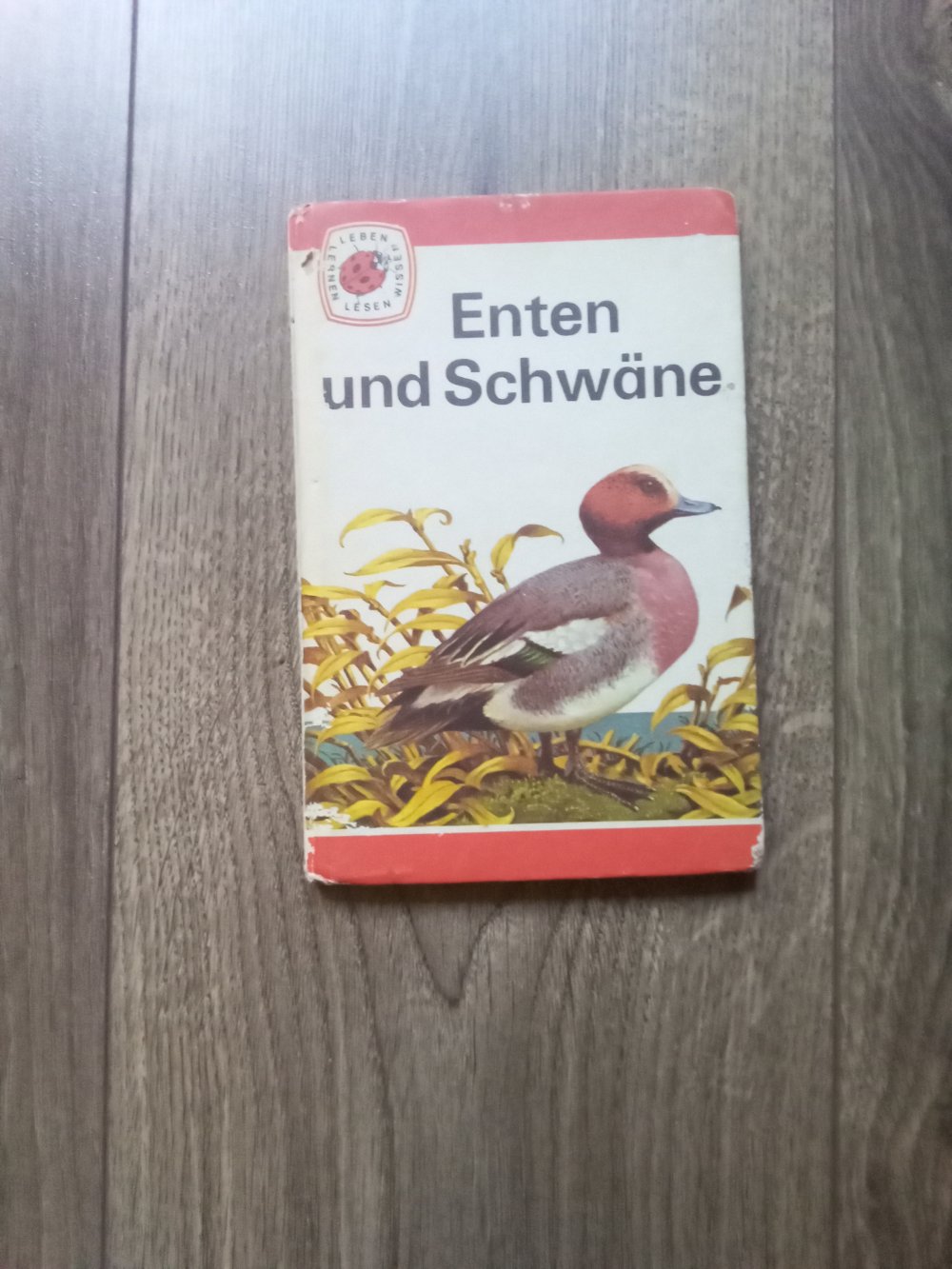 Enten und Schwäne Sachbuch Bd 2 Lesen leben lernen wissen