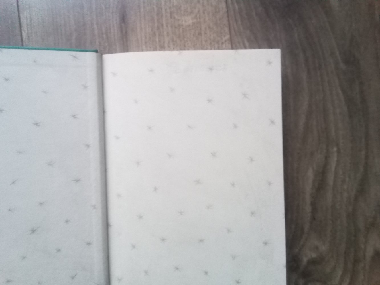 Jungsalarm bei den Sunny Sisters Sabine Zett Hardcover Buch Bd 3