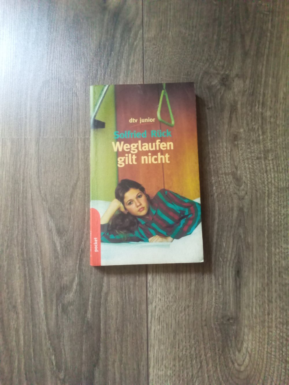 Weglaufen gilt nicht Solfried Rück dtv junior