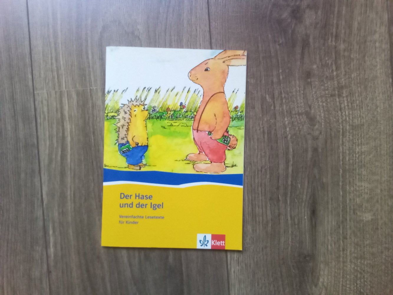 Der Hase und der Igel Klett vereinfachte Lesetexte ausmalen 1. + 2. Klasse Lektüre 