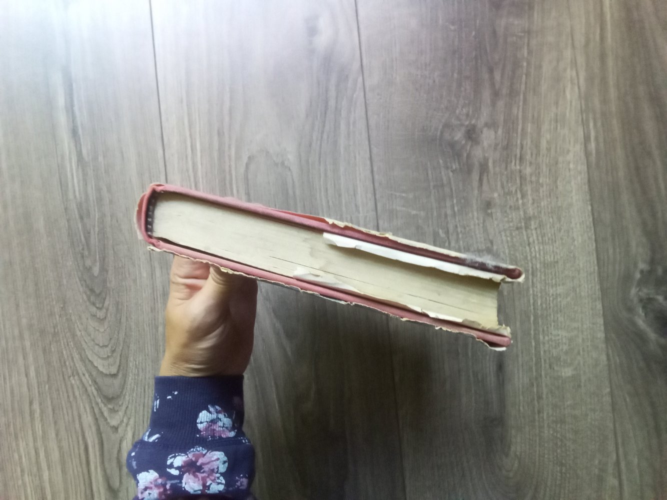 Fernsehhund Lassie Buch Band 1 Dorothea J. Snow das Geheimnis vom Brombeersumpf Engelbert