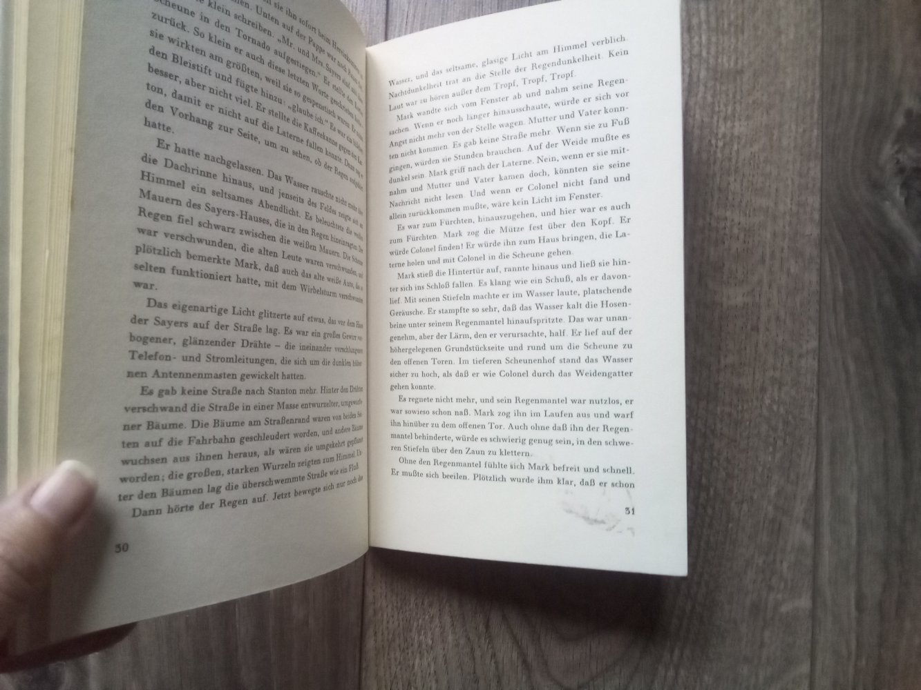 Das Pferd das im Sturm kam Meindert de Jong