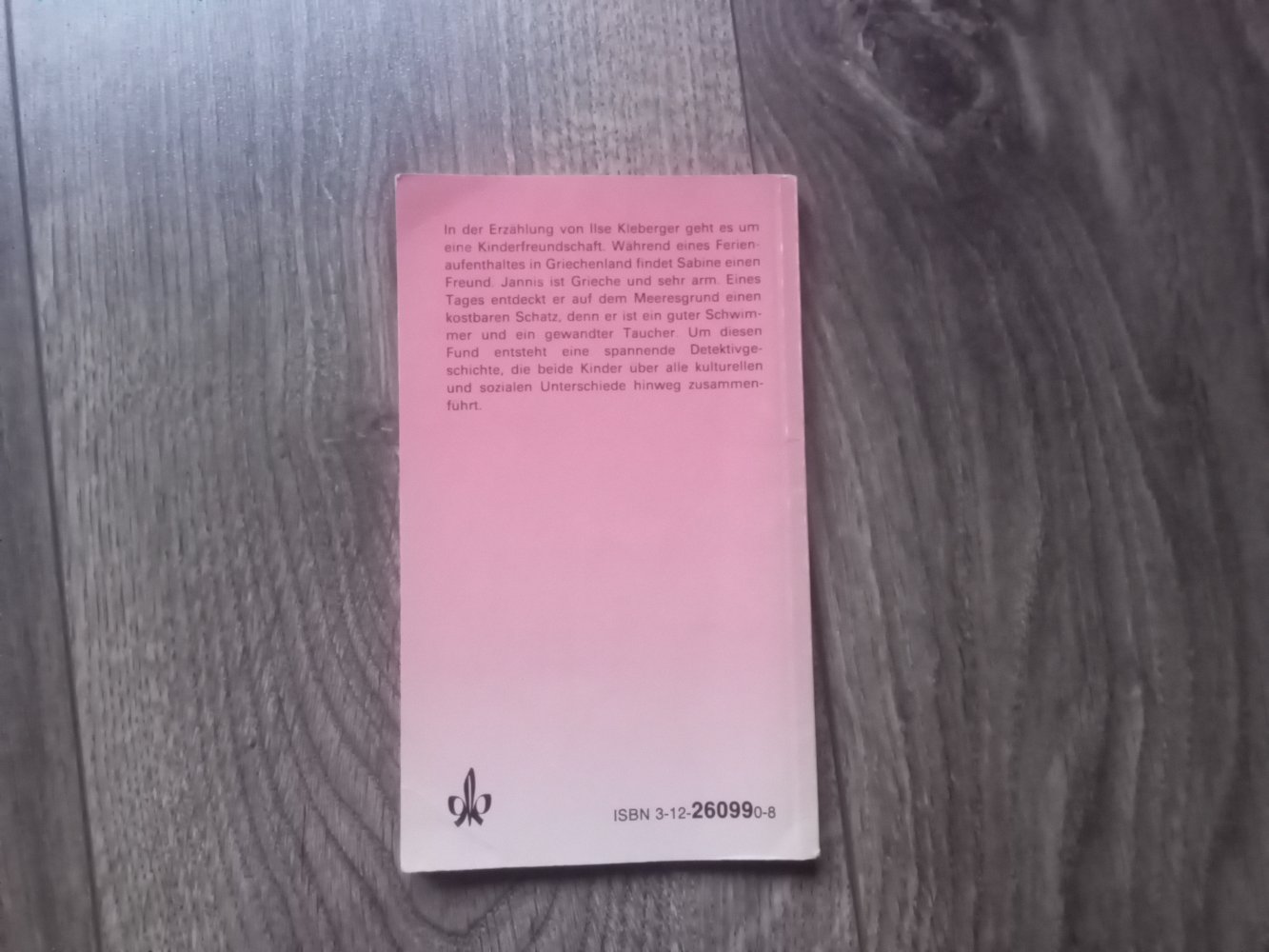 Jannis der Schwammtaucher Ilse Kleeberger Buch Klett Lektüre