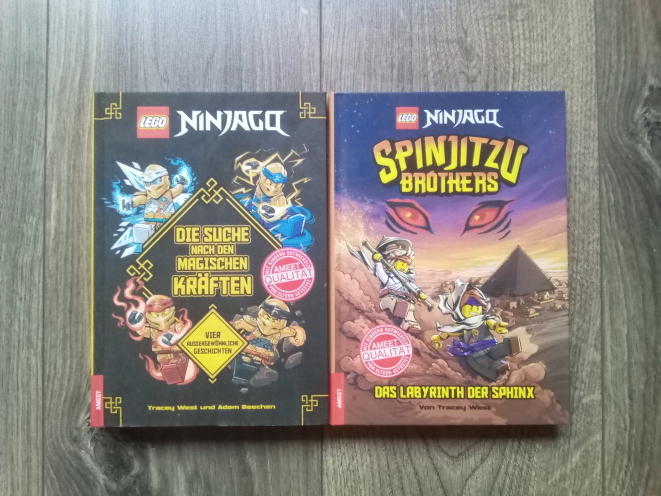LEGO Ninjago Buch Spinjitzu Brothers Das Labyrinth der Sphinx Band 3 Die Suche nach den magischen Kräften Tracey West 