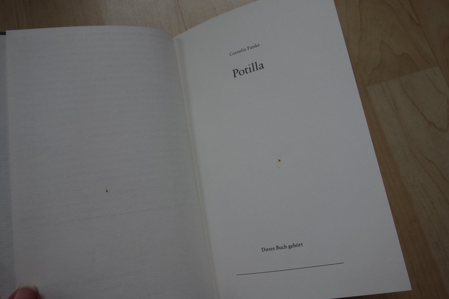 Potilla Cornelia Funke Buch gebunden Fee